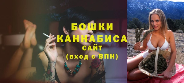 ешки Иннополис