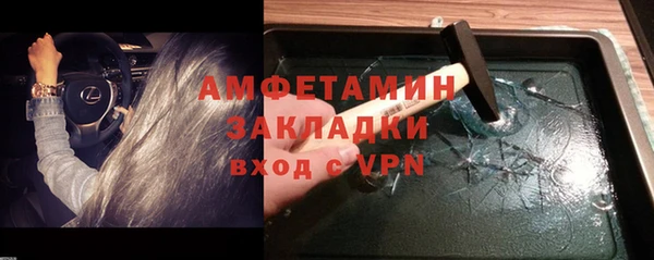 сатива Инта