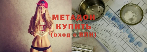 сатива Инта