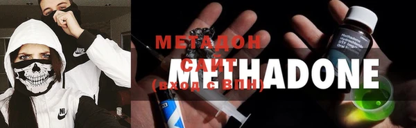 сатива Инта