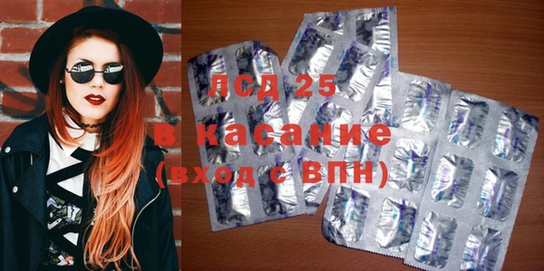 мяу мяу мука Инсар