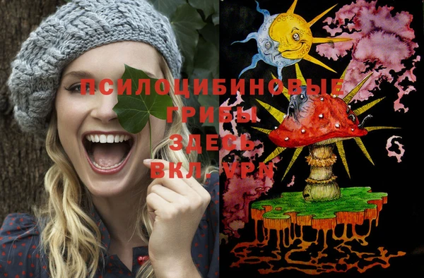 мескалин Каменка