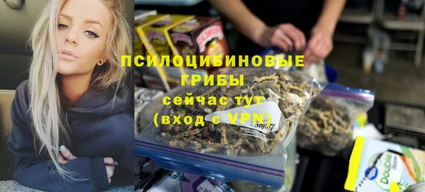 ешки Иннополис