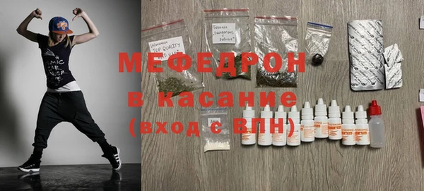 сатива Инта