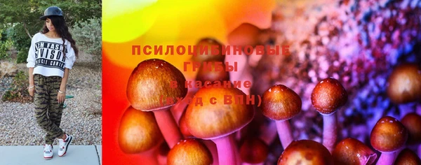 мескалин Каменка