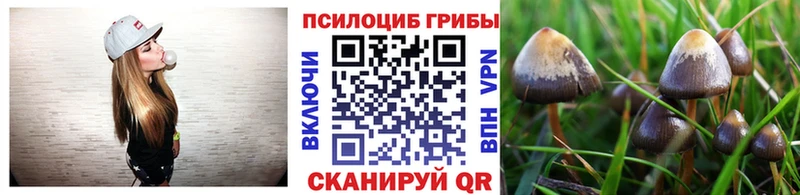 Псилоцибиновые грибы Magic Shrooms  Мезень 